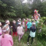 phoca_thumb_m_vp - tet den 72 Fotogalerie